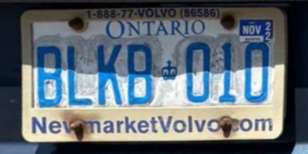 010