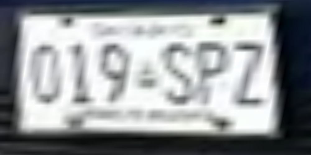 019