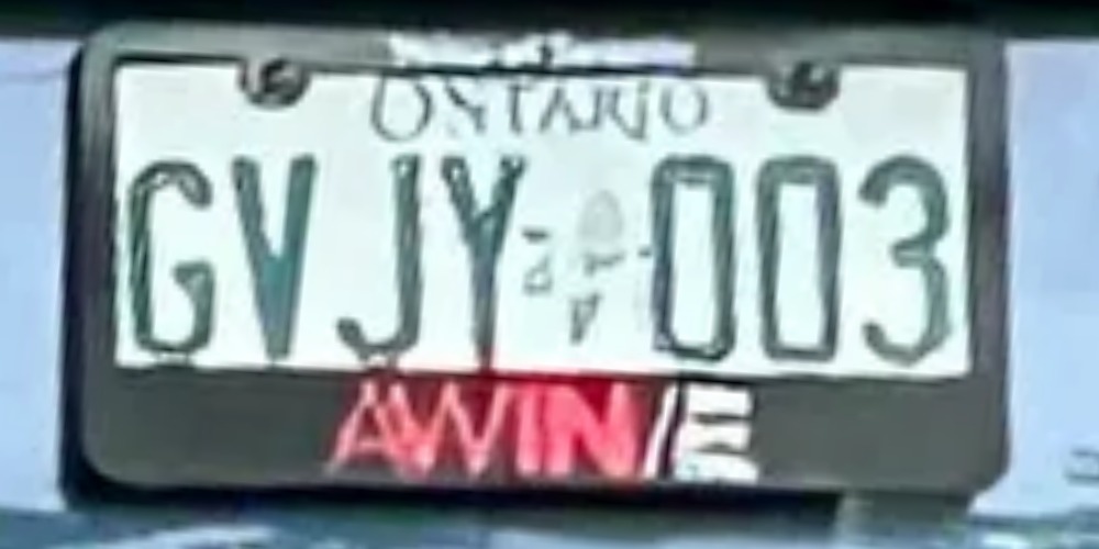 003