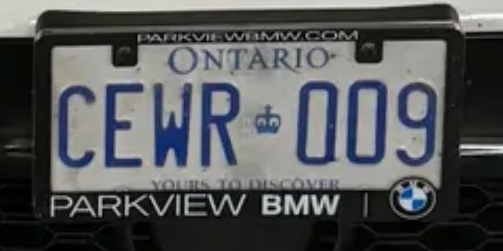 009