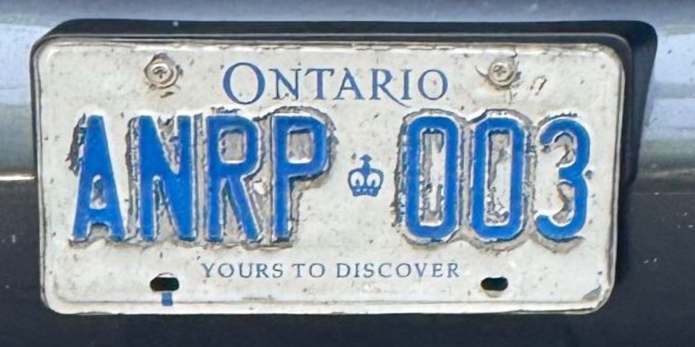 003