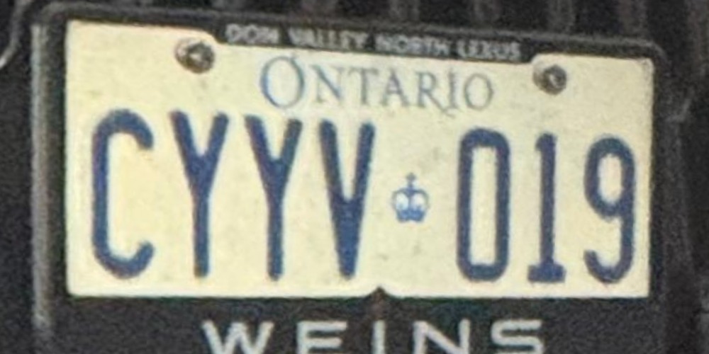 019