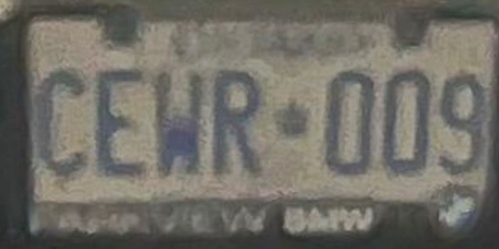 009