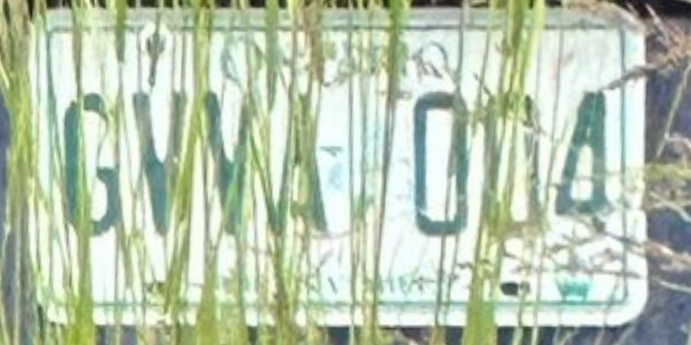 004
