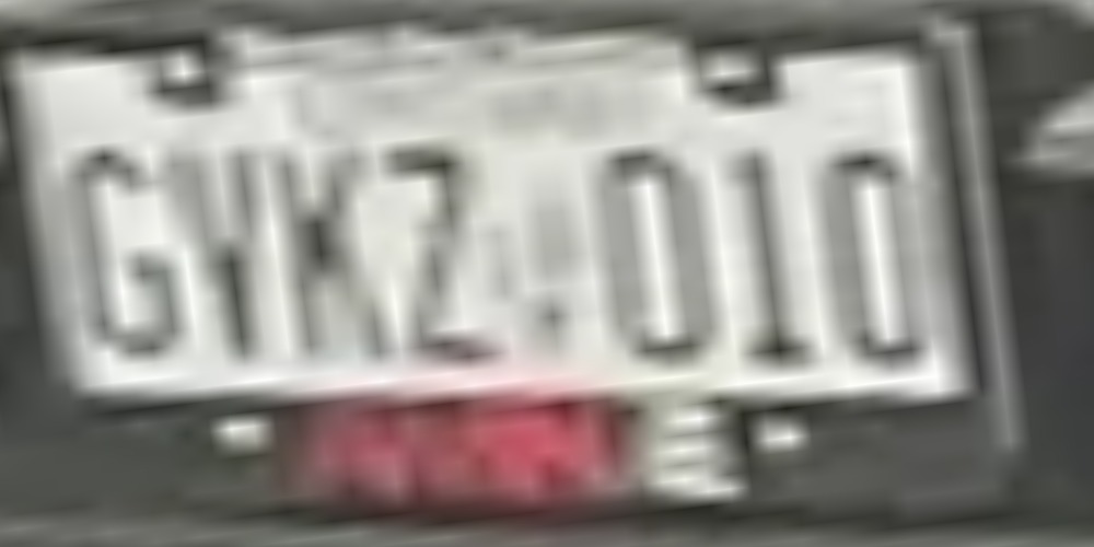 010
